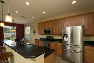 8388 Silver Birch Way, Lehigh Acres, FL 33971 - photo 4