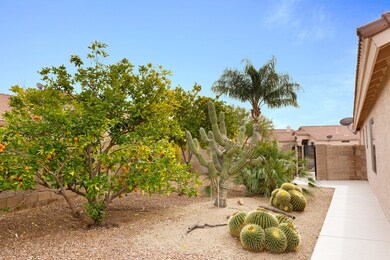 Side yard