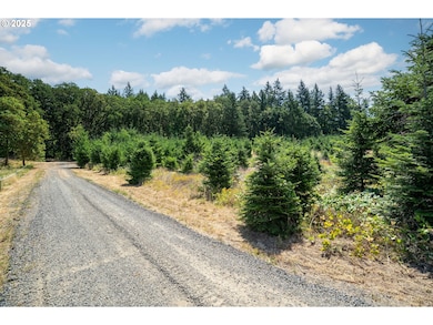 31795 NE Wilsonville Rd, Newberg, OR 97132 - photo 7