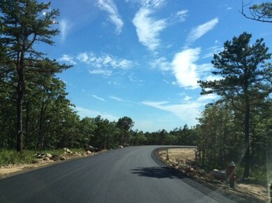 43 Snapping Bow unit lot 46, Plymouth, MA 02360 - photo 3