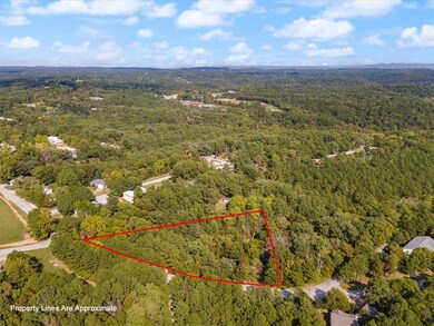 101 Dawson St, Eureka Springs, AR 72632 - photo 5