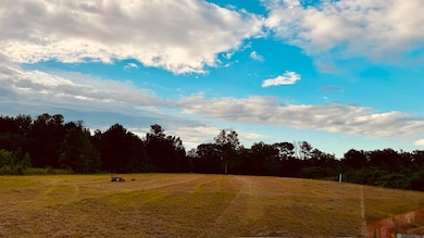 2021 Nesom Rd, Denham Springs, LA 70706 - photo 2