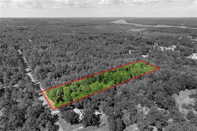 Birds eye view of property featuring a forest view
