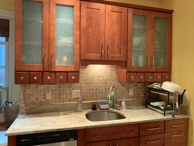 239 Rawson Rd unit 5, Brookline, MA 02445 - photo 6