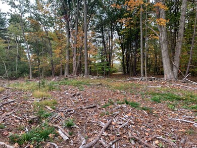 Center Lot towards wooded area