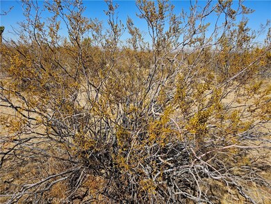 0 Avenue R unit AR25060984, Palmdale, CA - photo 3