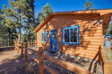 441 Paint Pony Ln, Florissant, CO 80816 - photo 3