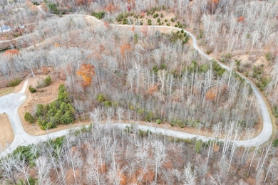 46 & 47 Waterside Dr, Goodview, VA 24095 - photo 3