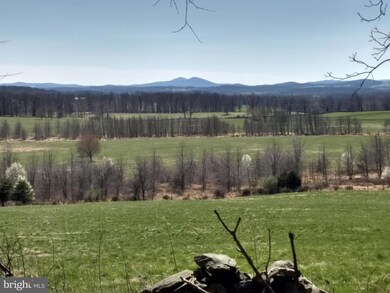 0 Ridgeside Rd unit VALO2060072, Bluemont, VA 20135 - photo 5