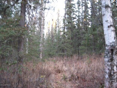 woods