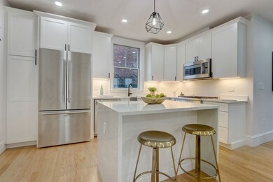 3 Porter Park unit 3, Cambridge, MA 02140 - photo 3