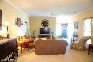 7007 Summit Ln, Fredericksburg, VA 22407 - photo 6