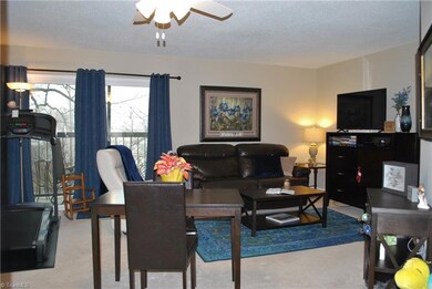 Living room, the sliding door leads to balcony.