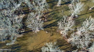 0 Highway 12, Tchula, MS 39169 - photo 7