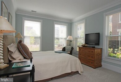 910 Powhatan St unit 203N, Alexandria, VA 22314 - photo 5