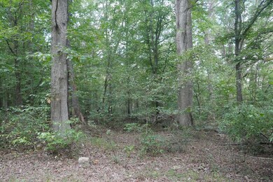 0 Tbd Bryson Cove Rd unit LotWP001, Abingdon, VA 24210 - photo 5