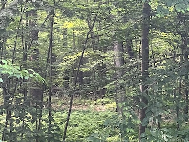 0 Mount Ross Rd, Pine Plains, NY 12567 - photo 2