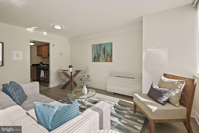 Mica Condominiums unit 119, Silver Spring, MD 20910 - photo 6