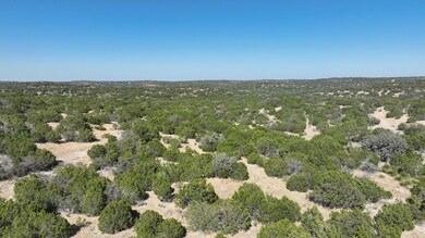 Sd 44069, Rocksprings, TX 78880 - photo 7