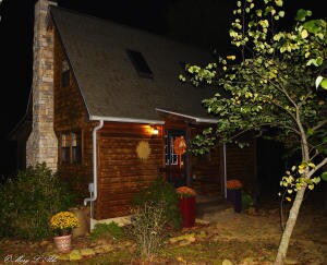 Cabin - Night