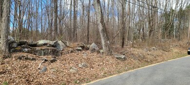 0 Prouty Rd unit 72812046, Hardwick, MA 01031 - photo 3