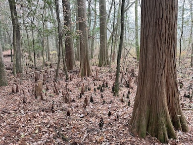 000 Fleming Mill Rd, Pocomoke City, MD 21851 - photo 4