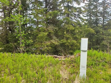 Electric Post