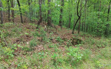 Additional View