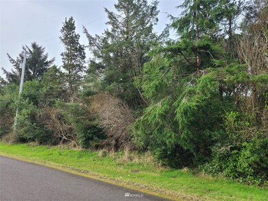 Corner of lot looking toward the South.
