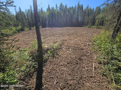L9 Tolum Rd, Cohoe, AK 99568 - photo 3
