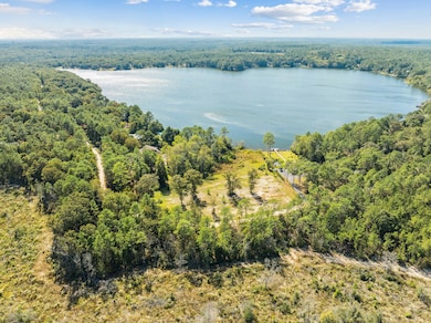 Lot 29 Spring Lake Rd, Defuniak Springs, FL 32433 - photo 3