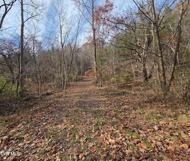 355 N Austin Springs Rd, Piney Flats, TN 37686 - photo 7