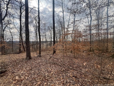 0 Hwy 135 unit Tract 3 2025011288, New Salisbury, IN 47161 - photo 2