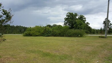 102 Jog Rd, Sylvester, GA 31791 - photo 2