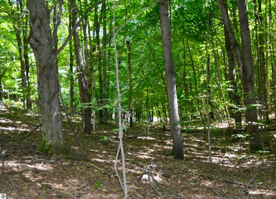 8080 S Sullivan Rd, Cedar, MI 49621 - photo 5