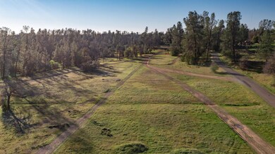 DJI_0312-HDR