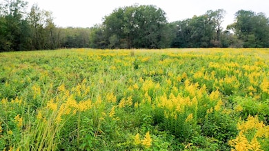 5015 Fm 561, Simms, TX 75574 - photo 3