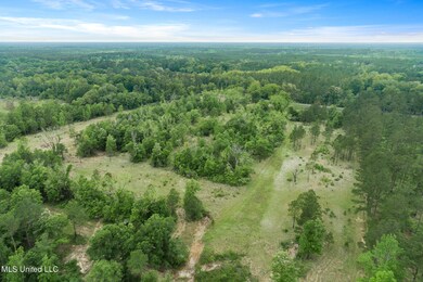 0 24 95 + - Ac Basin Central Rd, Lucedale, MS 39452 - photo 5