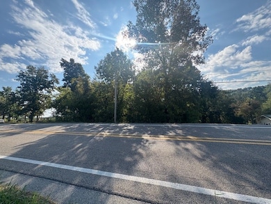 Lot 15 & 2A Highway 5, Norfork, AR 72658 - photo 3