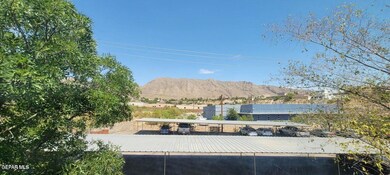 Thunderbird front photo 5