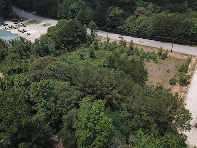 0 Marvin Hancock Dr, Jasper, TX 75951 - photo 5