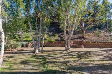 Beautiful, large backyard.