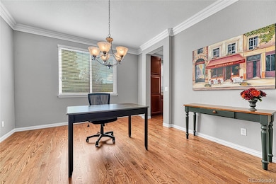 16204 E Swift Fox Place, Parker, CO 80134 - photo 7