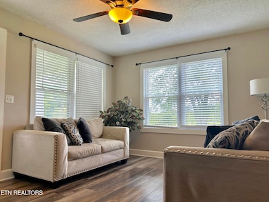 6619 Highway 360, Tellico Plains, TN 37385 - photo 3