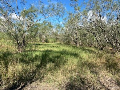 4618 N Mile 3 1 2 W, Weslaco, TX 78599 - photo 5