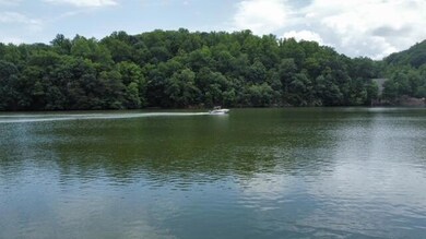 Smith Mountain Lake