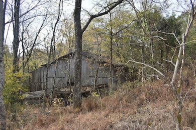 0 Gladdice Hwy unit RTC3042612, Gainesboro, TN 38562 - photo 3