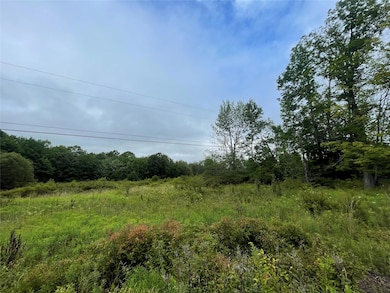 0 Basil Todd Rd, Middletown, NY 12430 - photo 2