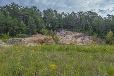 Shinbone Property-8
