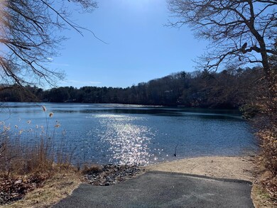 Pimlico Pond 1